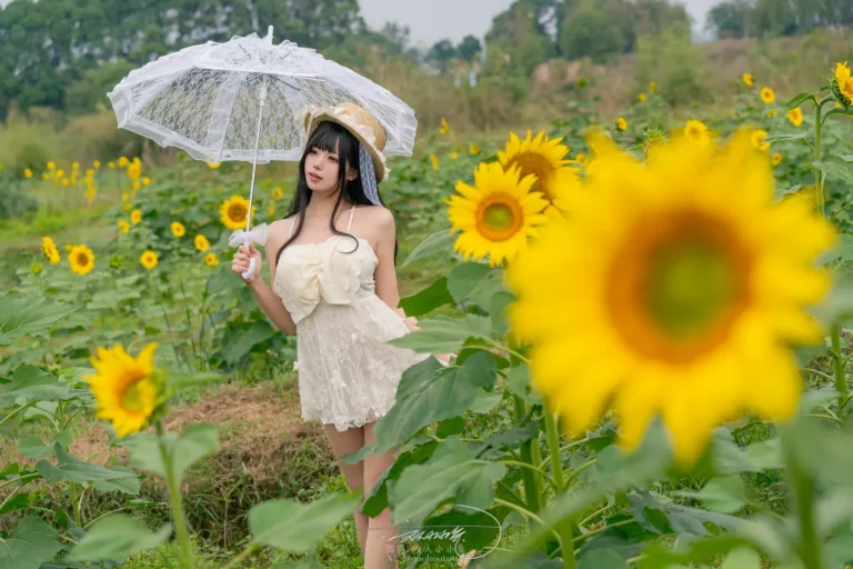 Featured image for post 14629